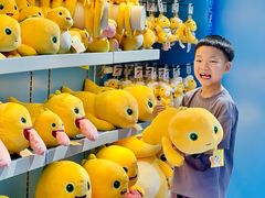 -海合安成都极地海洋公园