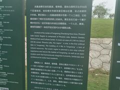 -桐乡凤凰湖