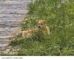 -268童话露营农场·烧烤·团建