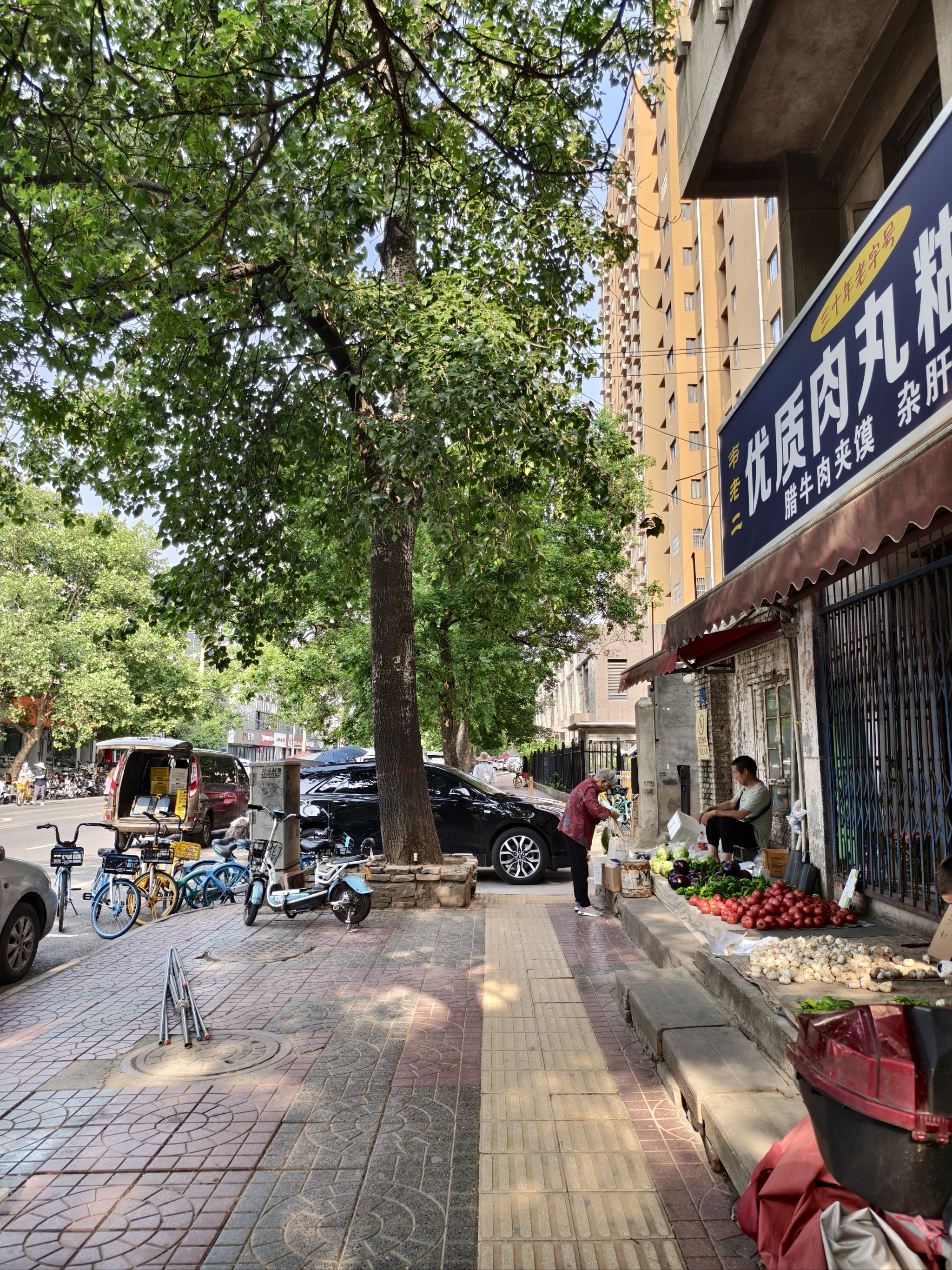 老城区就是凉快啊�真想每天坐在这树下喝茶