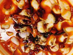 -青花椒花椒鱼(合生汇店)