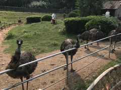 -无锡动物园·太湖欢乐园