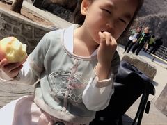 -十渡东湖港风景区