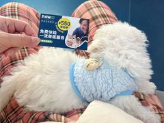 -佩兹宠物医院肿瘤专科·眼科·牙科(黄浦店)