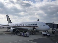 -新加坡航空公司(ION)