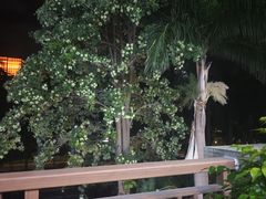 -茶油香闽南菜·花园餐厅(前埔店)