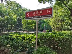 -山东大学(趵突泉校区)