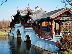 -上海海湾国家森林公园