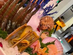 -斯普汇生蚝牛排馆(中骏世界城店)