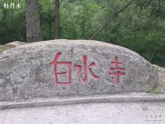 -白水寺森林公园