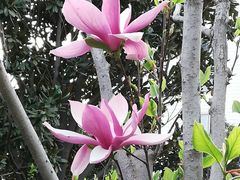 -经纬广场