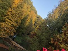-云溪植物园