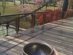 -木槿校园影城(闵行交大菁菁堂店)