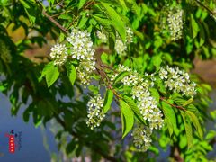 -长春公园(普阳街道)