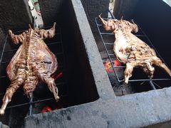 -大京袁记烤全羊农家(大京水库店)