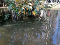 -捞渔河湿地公园