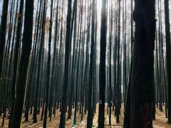 -山王坪喀斯特国家生态公园