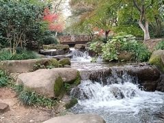 -中国茶叶博物馆(双峰馆区)