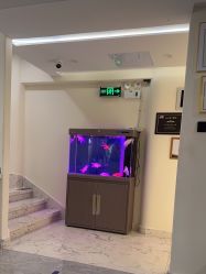 -海涛医疗美容·面部抗衰·注射美鼻