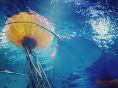 -沈阳海洋探索中心