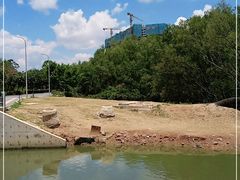 -大亚湾红树林城市湿地公园