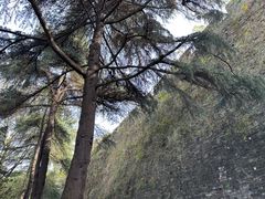 -紫金山索道-售票处