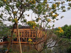 -花溪雨·森林餐厅(石基店)