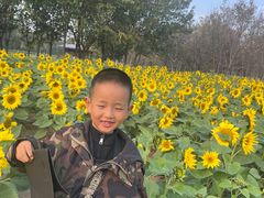 -汉长安城未央宫国家考古遗址公园