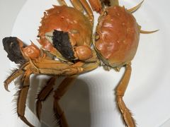 -金马门国际美食百汇(珞喻路店)