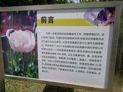 -北京植物园-展览温室