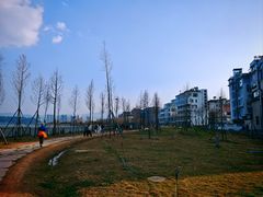 -洱海月湿地公园