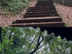 -西湖风景区十里琅珰-五云山