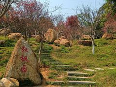 -广州市帽峰山景区