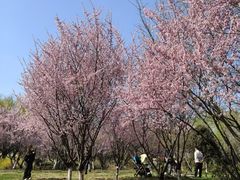 -采石矶景区