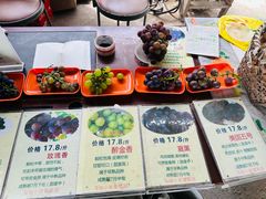 -马陆小张葡萄园农家乐