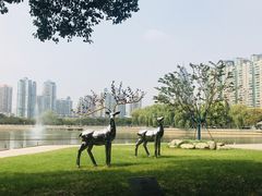 -西北湖绿化广场