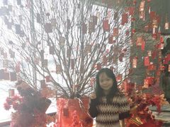 -深圳国际会展中心希尔顿酒店(前海华发冰雪世界店)