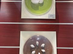 -青岛贝壳博物馆