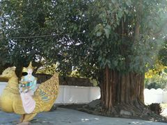 -边寨喊沙