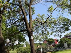 -武汉紫薇都市田园