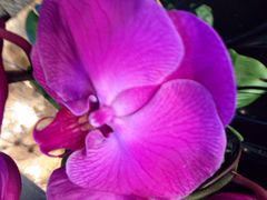 黔蘑菇四季餐厅(观山湖店)-黔蘑菇四季餐厅(观山湖店)