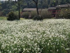 -常德桃花源景区