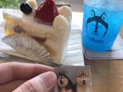 -TrueLove @ Neverland (Husky Cafe)