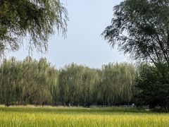 -北坞公园