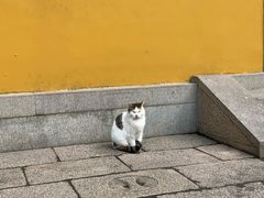-西园戒幢律寺