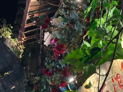 -大冰的小屋