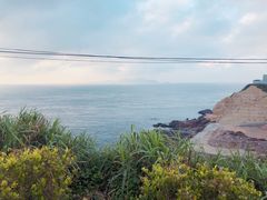 -枸杞岛