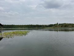 -溱湖国家湿地公园