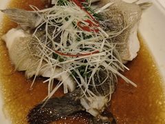 -骏莱海鲜鱼港(五角场店)