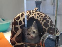 -龟与熊猫宠物公园(南坪店)